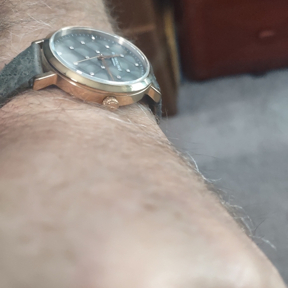 Stuhrling Culcita 567 Quartz 36mm Classic Watch - Picture 3 of 6